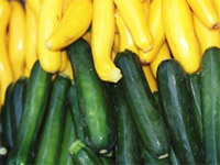 Photo of Summer Squash & Zucchini.